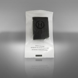 Ökonomische Glanzschwamm Ökonomische Glanzschwamm